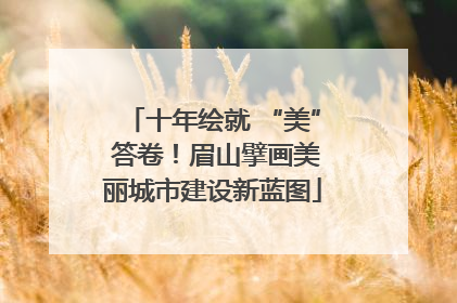 十年绘就 “美” 答卷！眉山擘画美丽城市建设新蓝图