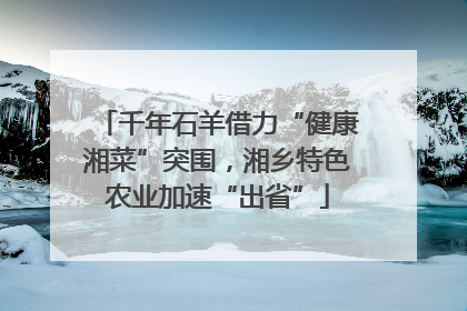 千年石羊借力“健康湘菜”突围，湘乡特色农业加速“出省”