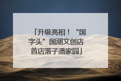 升级亮相！“国字头”国潮文创店首店落子潘家园