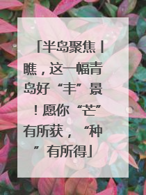 半岛聚焦丨瞧，这一幅青岛好“丰”景！愿你“芒”有所获，“种”有所得