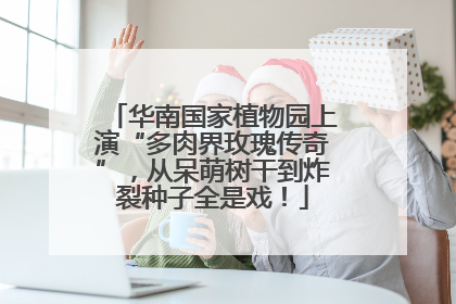 华南国家植物园上演“多肉界玫瑰传奇”，从呆萌树干到炸裂种子全是戏！