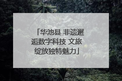 华池县 非遗邂逅数字科技 文旅绽放独特魅力