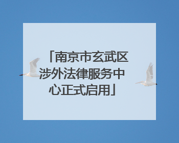 南京市玄武区涉外法律服务中心正式启用