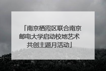 南京栖霞区联合南京邮电大学启动校地艺术共创主题月活动