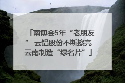 南博会5年“老朋友” 云铝股份不断擦亮云南制造“绿名片”