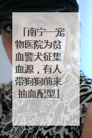 南宁一宠物医院为贫血警犬征集血源，有人带狗狗前来抽血配型