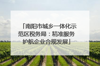 南阳市城乡一体化示范区税务局：精准服务护航企业合规发展