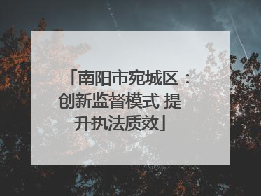 南阳市宛城区：创新监督模式 提升执法质效