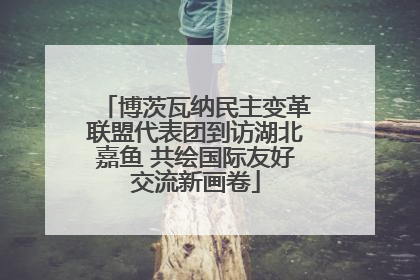 博茨瓦纳民主变革联盟代表团到访湖北嘉鱼 共绘国际友好交流新画卷