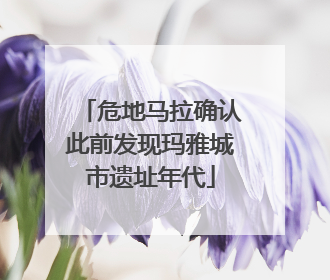 危地马拉确认此前发现玛雅城市遗址年代