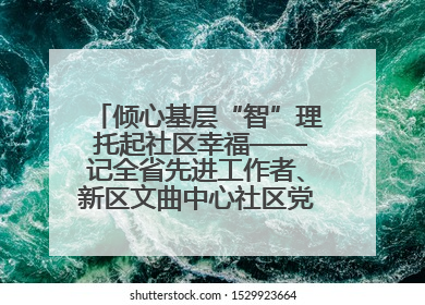 倾心基层“智”理 托起社区幸福——记全省先进工作者、新区文曲中心社区党委书记董世弘