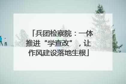 兵团检察院：一体推进“学查改”，让作风建设落地生根
