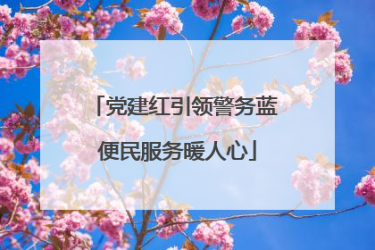党建红引领警务蓝 便民服务暖人心