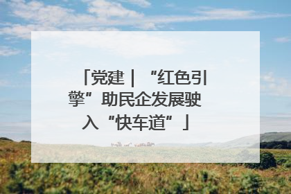 党建｜“红色引擎”助民企发展驶入“快车道”