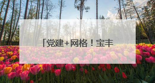党建+网格！宝丰县铁北社区探索高效能治理新路径
