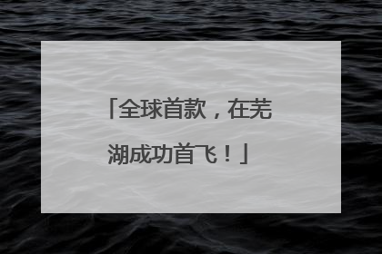 全球首款，在芜湖成功首飞！