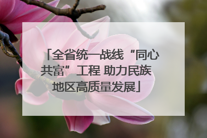 全省统一战线“同心共富”工程 助力民族地区高质量发展