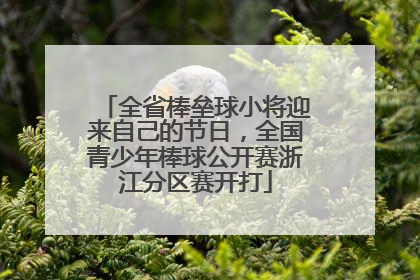 全省棒垒球小将迎来自己的节日，全国青少年棒球公开赛浙江分区赛开打