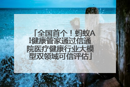 全国首个！蚂蚁AI健康管家通过信通院医疗健康行业大模型双领域可信评估