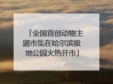 全国首创动物主题市集在哈尔滨极地公园火热开市