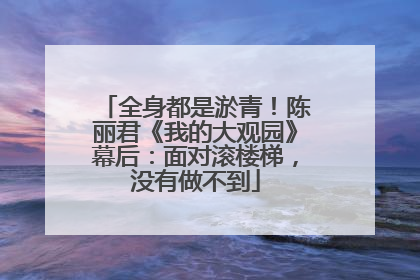 全身都是淤青！陈丽君《我的大观园》幕后：面对滚楼梯，没有做不到