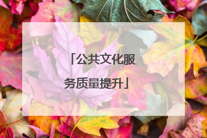 公共文化服务质量提升