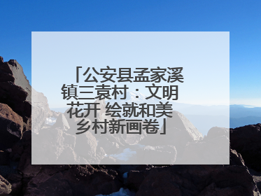 公安县孟家溪镇三袁村：文明花开 绘就和美乡村新画卷