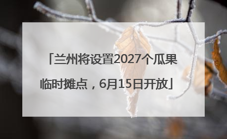 兰州将设置2027个瓜果临时摊点，6月15日开放