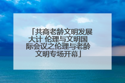 共商老龄文明发展大计 伦理与文明国际会议之伦理与老龄文明专场开幕