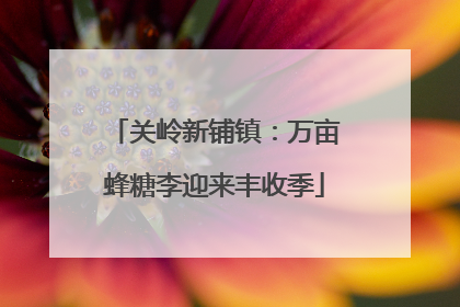 关岭新铺镇：万亩蜂糖李迎来丰收季
