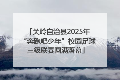 关岭自治县2025年“奔跑吧少年”校园足球三级联赛圆满落幕