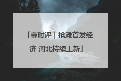 冀时评｜抢滩首发经济 河北持续上新