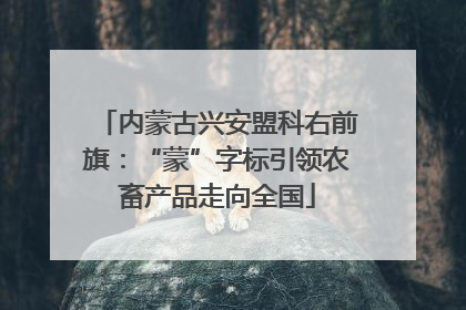 内蒙古兴安盟科右前旗：“蒙”字标引领农畜产品走向全国
