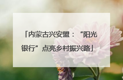 内蒙古兴安盟：“阳光银行”点亮乡村振兴路