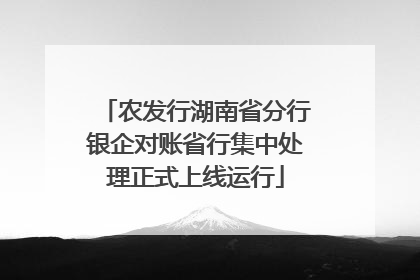 农发行湖南省分行银企对账省行集中处理正式上线运行