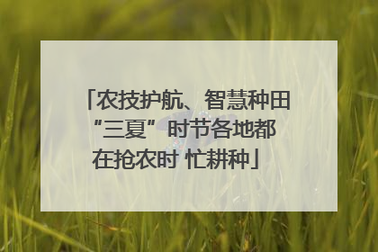 农技护航、智慧种田 “三夏”时节各地都在抢农时 忙耕种
