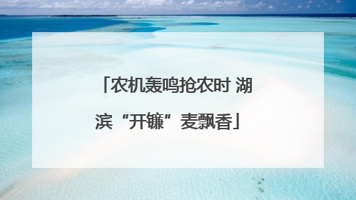 农机轰鸣抢农时 湖滨“开镰”麦飘香