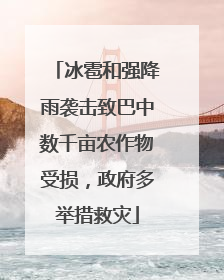 冰雹和强降雨袭击致巴中数千亩农作物受损，政府多举措救灾