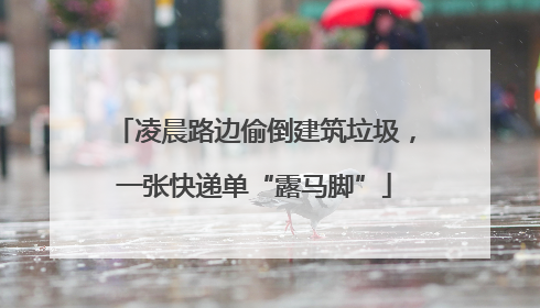 凌晨路边偷倒建筑垃圾，一张快递单“露马脚”