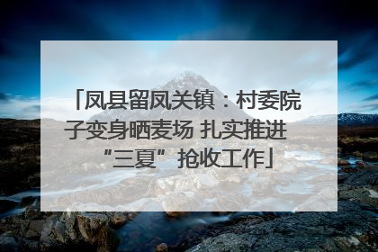 凤县留凤关镇：村委院子变身晒麦场 扎实推进“三夏”抢收工作