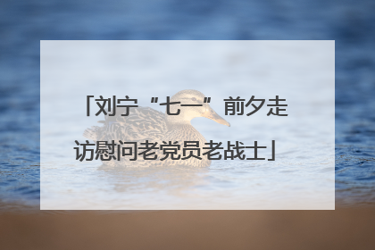 刘宁“七一”前夕走访慰问老党员老战士
