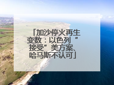 加沙停火再生变数：以色列“接受”美方案、哈马斯不认可