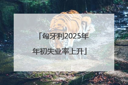 匈牙利2025年年初失业率上升