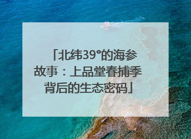 北纬39°的海参故事：上品堂春捕季背后的生态密码