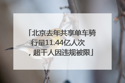 北京去年共享单车骑行量11.44亿人次，超千人因违规被限