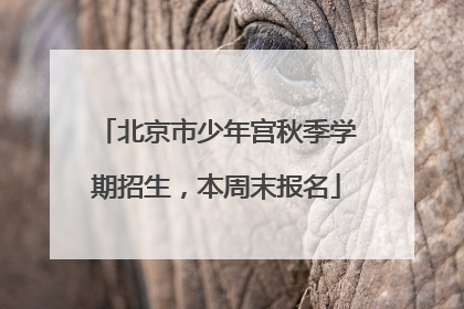 北京市少年宫秋季学期招生，本周末报名