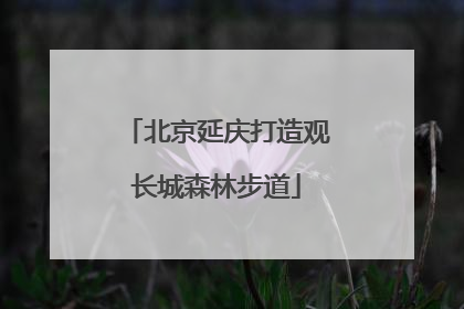 北京延庆打造观长城森林步道