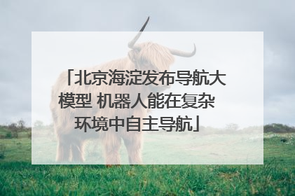 北京海淀发布导航大模型 机器人能在复杂环境中自主导航