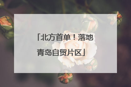 北方首单！落地青岛自贸片区