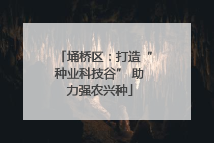埇桥区：打造“种业科技谷” 助力强农兴种